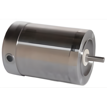 Marathon Leeson Extreme Duck Ultra Washguard Stainless Steel AC Motor - 119520.00