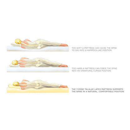 Royal Pedic Premier Latex Quilt-Top Mattress