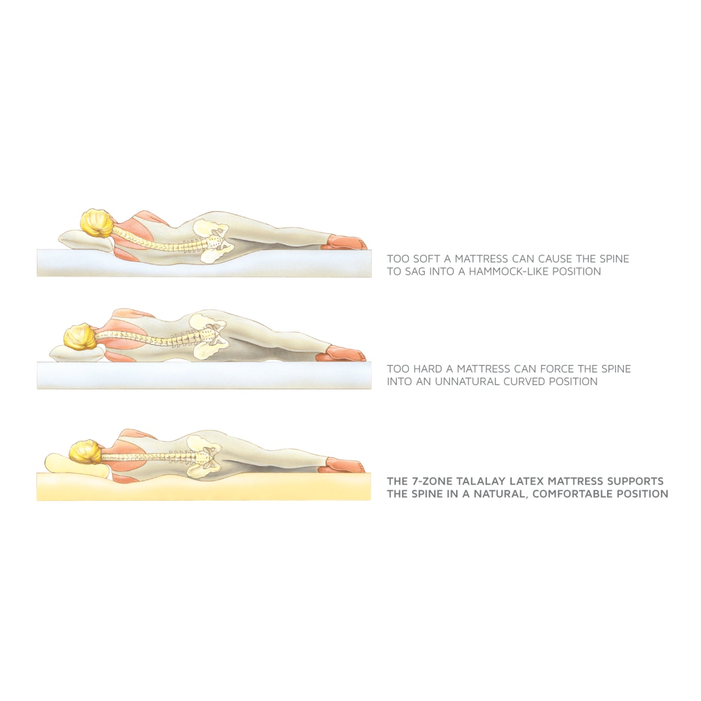 Royal Pedic Latex Quilt-Top Mattress