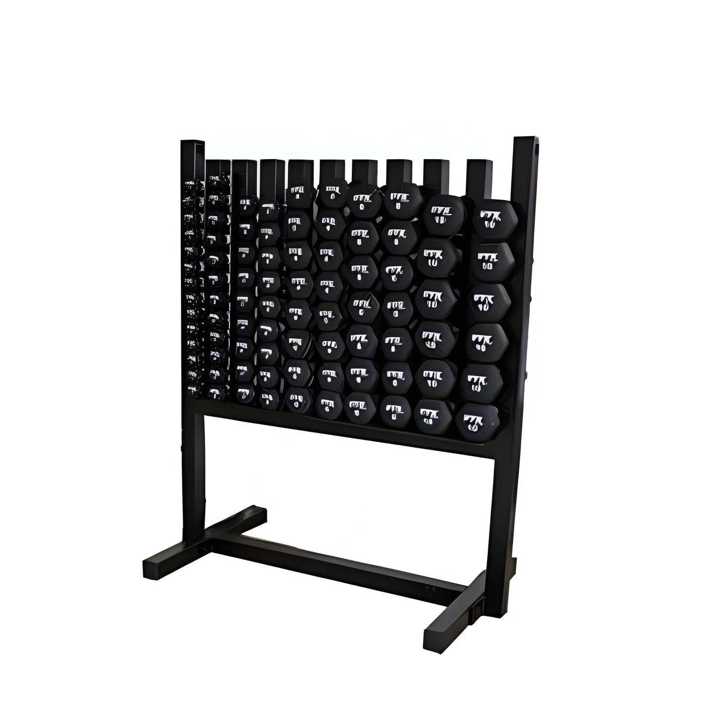 VTX Neoprene Aerobic Pack  - MDR-NPAC