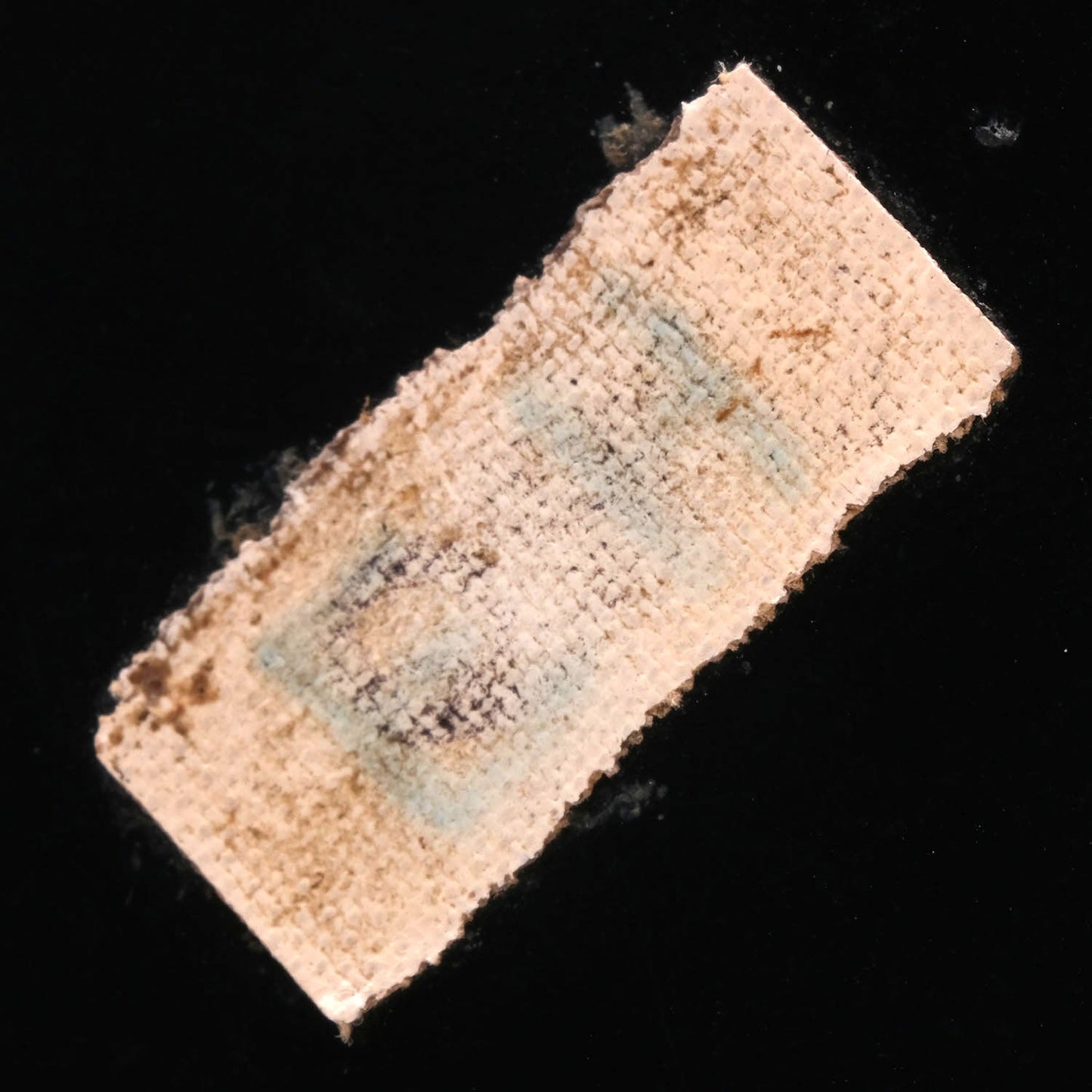 Zeiss Ikon Hologon Ultrawide "Eisenstaedt" P75915 - 1513960