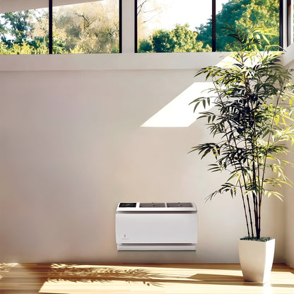 FRIEDRICH WallMaster - WCT10A30A-KT