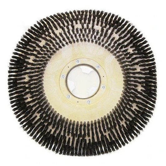 Pacific Floorcare 20" Nylon Floor Scrubbing (#850902) for the Pacific Floorcare S-20 Auto Scrubbers - PAC-850902