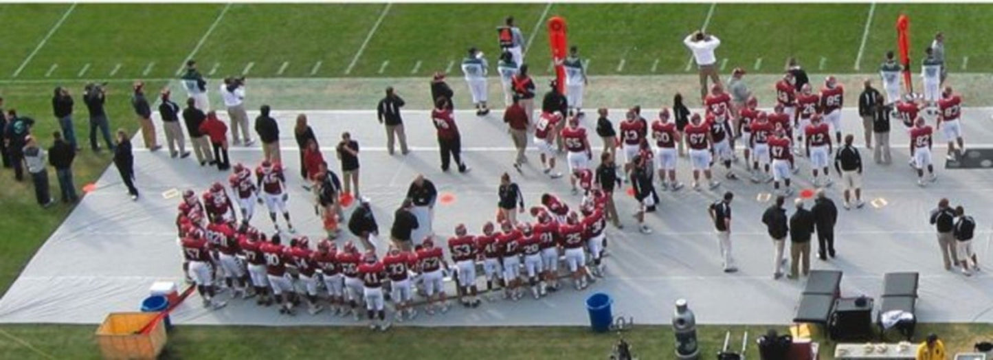 Trigon Sports 14 x 75 ft. Sideline Turf Protector FST1475 - FST1475