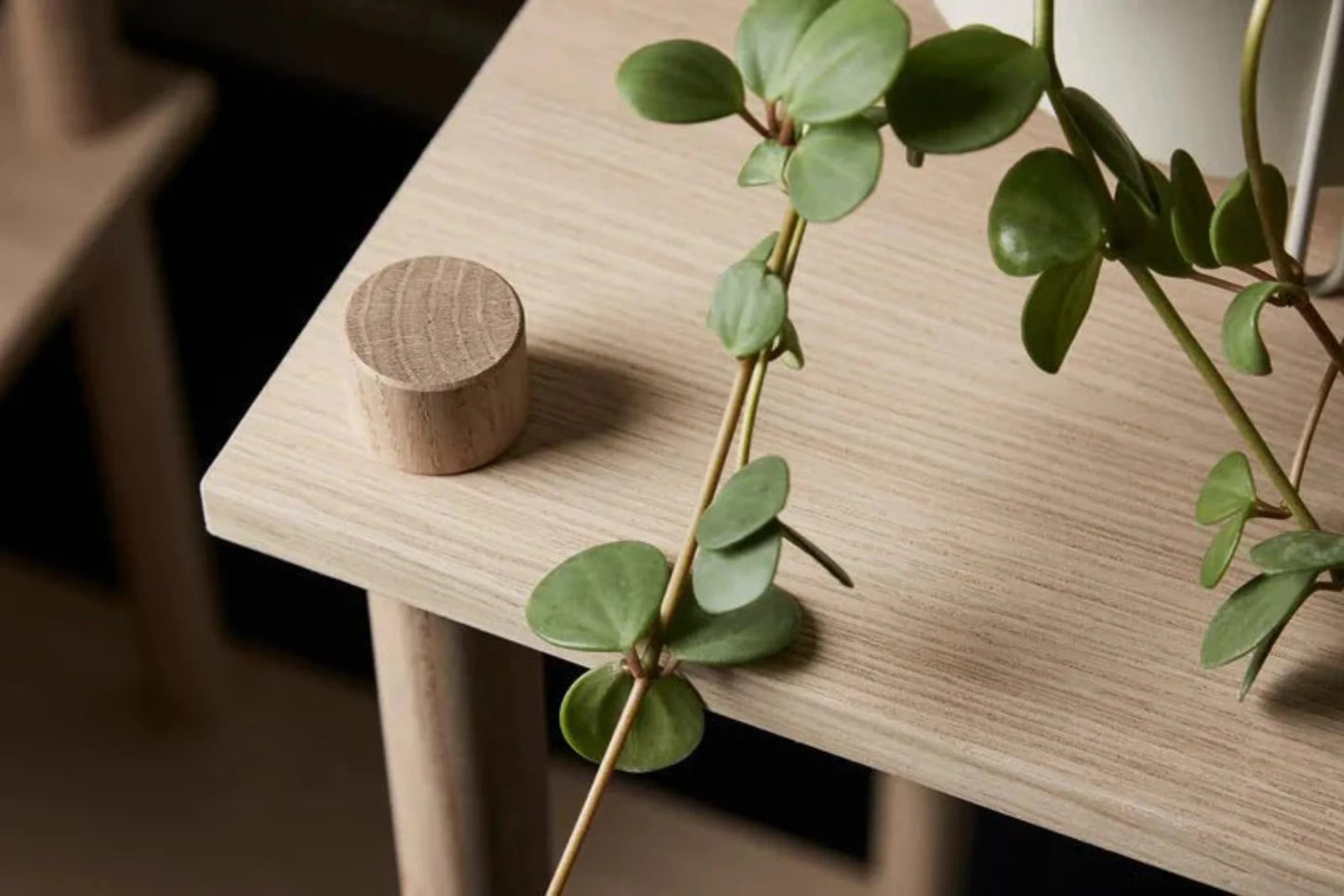 Woud Elevate Shelving System - 1 - 120600