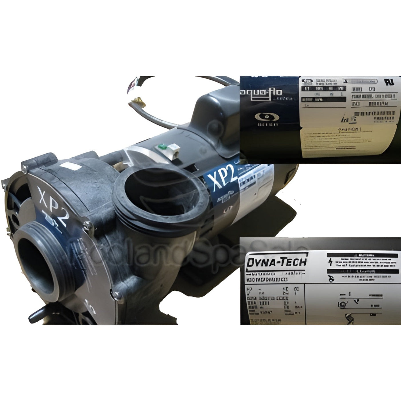 MASTER SPAS Pump 9.8 Amp, 2 Speed, 120V -  X320378