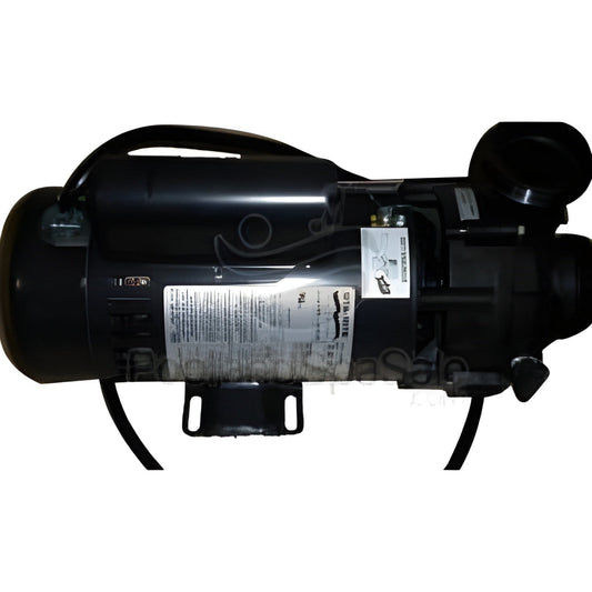 MASTER SPAS 3 horsepower 2 speed Pentair / Sta-Rite for Legacy - X320420