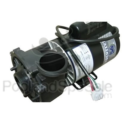 MASTER SPAS Pump 10A, 2 Speed, 56 Frame 230v - X320523