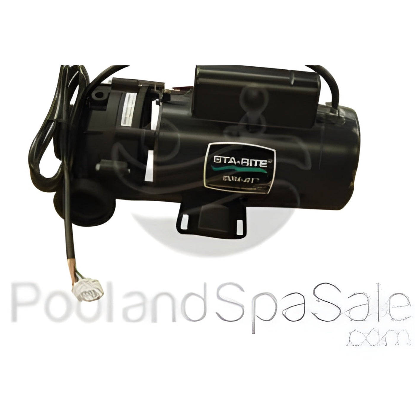 MASTER SPAS 2 horsepower, 2 speed, 120V Sta-Rite - X321610